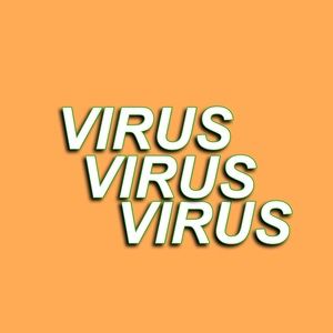 Meet your Posher, Torie